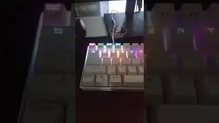 How to press Z #Shorts