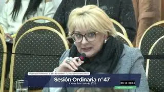 SESION Nº47 – 03 DE JULIO DE 2025