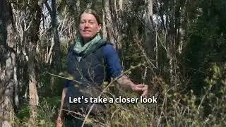 Our Zero Carbon journey