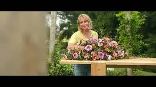 Summer arrangements with Cinefleur