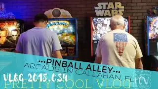 Pinball Alley | Arcade in Callahan, FL | Vlog 2018.034
