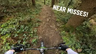 Rough Downhill in Rostrevor! - Bins 1