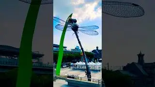 Dragonfly  huge replica