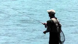 Off The Land OutDoors  Marlborough Dry fly trout fishing