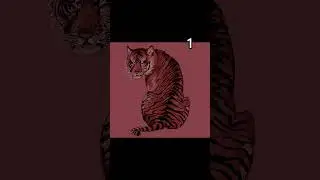 Which One is Your Favourite Tiger Drawing? #art