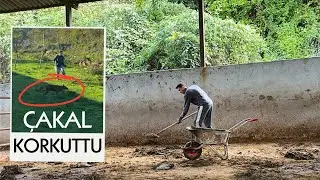 SABAH AHIR TEMİZLİĞİ | G&uuml;breyi Y&ouml;netememek