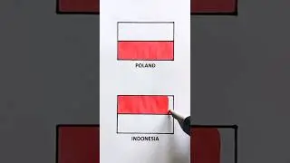 coloring the flags of Poland and Indonesia