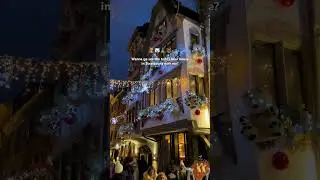 🇫🇷 Strasbourg teddy bear house 🧸 #strasbourg #strasbourgfrance #christmas