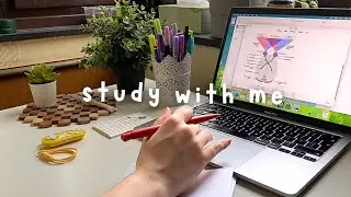 STUDY WITH ME | 3 Hours of Physics + Anki Flashcards (no music , no break, premed )