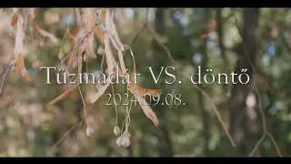 Tűzmadár VS döntő