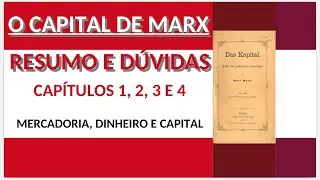O Capital: cap. 1 ao 4: Mercadoria e Dinheiro &ndash; resumo e d&uacute;vidas VID #10