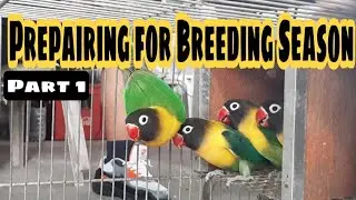 Prepairing for Breeding Season