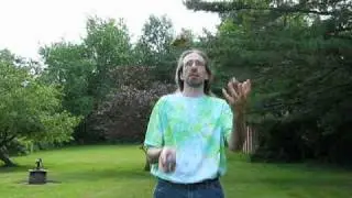 Cat Juggling