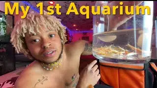 FTM | Making An Aquarium For My Snakes Feeder Fish 🐟🐠