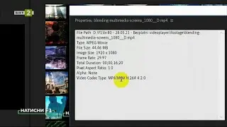 Най-популярните видео плеъри, 