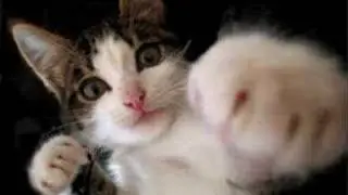 Funny gifs. (Some runescape)- 1 J 4 M i 3x