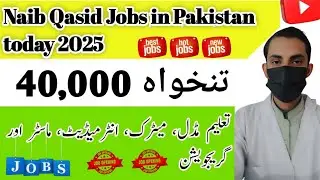 government jobs 2025 in pakistan-government jobs 2025 in pakistan kpk - Aune Writ8s 