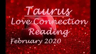 Taurus Love 