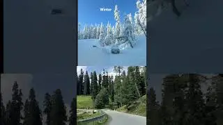 Winter vs summer ft Gulmarg #gulmarg #summervswinter #kashmir #shorts #fyp #snowfall