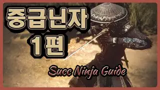bdo succ ninja guide - 1 검은사막 전승닌자 스킬 팁 콤보 1편