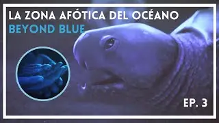 BEYOND BLUE | La Zona Af&oacute;tica del Oc&eacute;ano - Ep.3 | Gameplay Espa&ntilde;ol