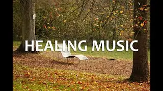 MEDITATION SPOT  [Release Attachments] - Rain Sounds for SLEEPING | Water of Life