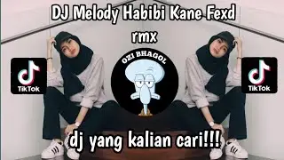 DJ MELODY HABIBI KANE FEXD VIRAL TIK TOK YANG KALIAN CARI TERBARU 2024