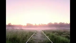 Dreamy Forest - Dreamy Sky (Dream House Music)
