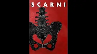 Scarni | performance online
