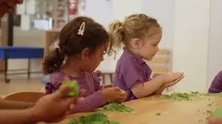 The Learning Sanctuary Educator Testimonials