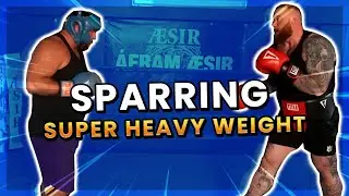Real sparring vs Eddie Halls fake sparring.