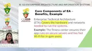 Topic 4 - Enterprise Architecture Domains in the Real world