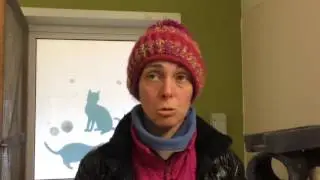 Visita al Gattile di Imola