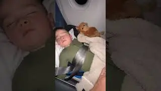 Flying with a baby or toddler?