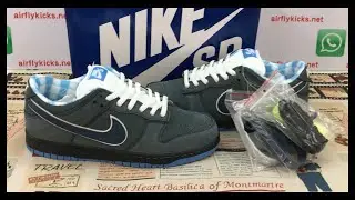 Unboxing Nike SB Dunk Low Concepts Blue Lobster Review