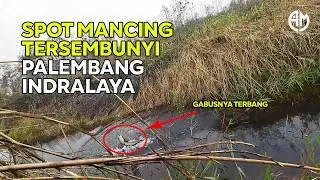 GABUSNYA TERBANG !! Spot Mancing Rawa Jalan Lurus Palembang Indralaya...