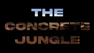 Maui's Concrete Jungle - Alpha Inc.
