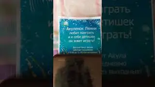 стих 80 уровня #смех #стих #неудача #рофл #подпишись #мем #акулёнок #babyshark #pinkfong