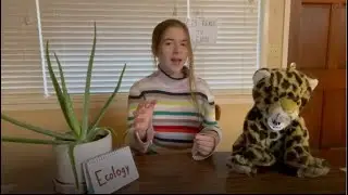 Ecology- *The Fundamentals* -Quinn Schreiber