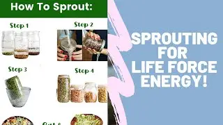 Sprouting for Life Force Energy