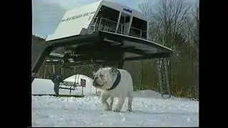 Ragged Mountain (Danbury, NH) commercial, January 1997 - 