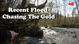 Recent Flood And Chasing The Gold