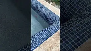 Fresh Pool Plaster #poolbuilder #poolconstruction #custompool #wacotexas #poolideas #gunitepools