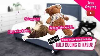 TIPS & TRIK BERSIHKAN BULU KUCING DI KASUR PAKAI KAPAS