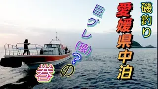 1/22愛媛県愛南町【中泊】【水中映像】複雑な中泊の潮を攻略せよ　出るか巨グレ(猿)❔