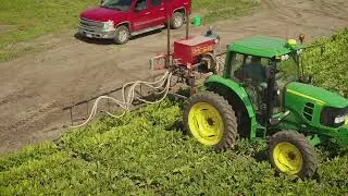 Producing Sugar Sustainably | KWS Seeds Uses Science to Drive Sustainability