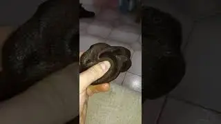 CBD Hash Afghan