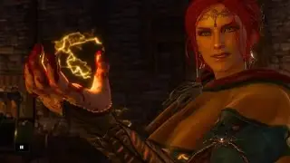 The Witcher 3 : Wild Hunt. Triss Kill Menge