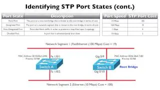 272 Identifying STP Port States