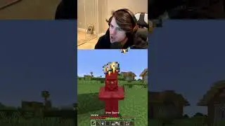 When You Make Minecraft Villagers Angry